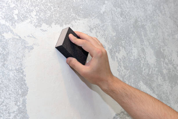 Best Mold-Related Health Consultation  in Bagley, MN