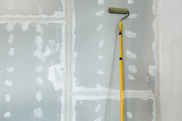Best Comprehensive Air Testing for Mold Contaminants  in Bagley, MN