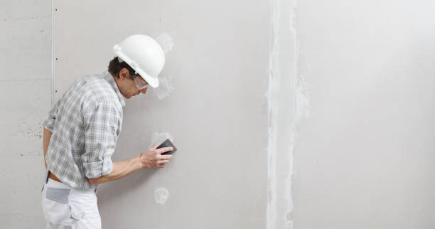 Best Asbestos and Lead Testing During Mold Inspection  in Bagley, MN