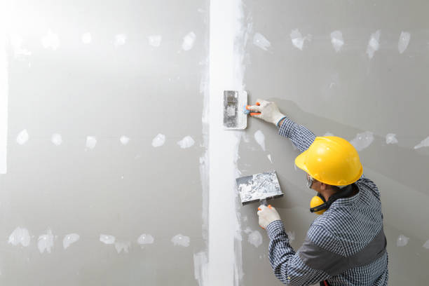 Best Post-Construction Mold Inspection  in Bagley, MN