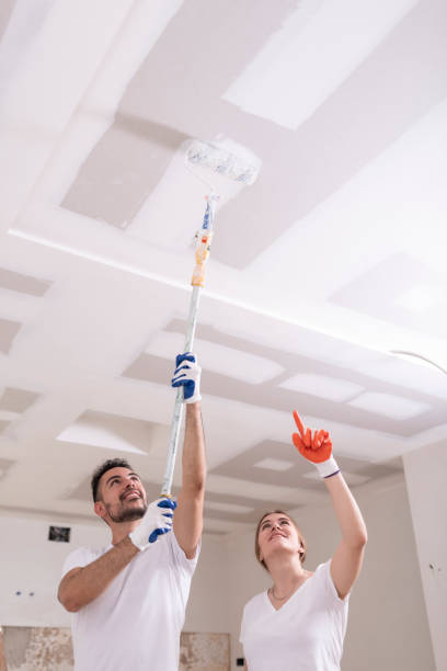 Reliable Bagley, MN Mold Removal Solutions