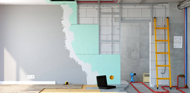 Mold Documentation for Insurance Claims in Bagley, MN