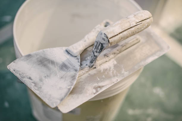 Best Environmental Consulting for Mold Prevention  in Bagley, MN